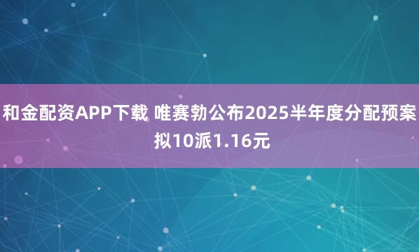和金配资APP下载 唯赛勃公布2025半年度分配预案 拟10派1.16元